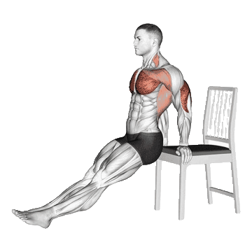biceps exercises without equipment