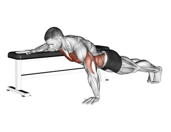 biceps exercises without weights