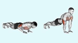 Best Biceps Exercises Without Dumbbells