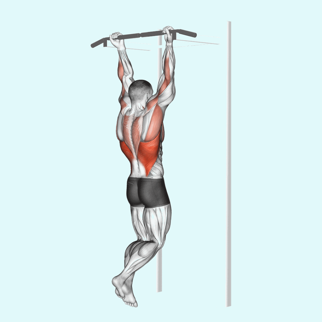 Best Biceps Exercises Without Dumbbells