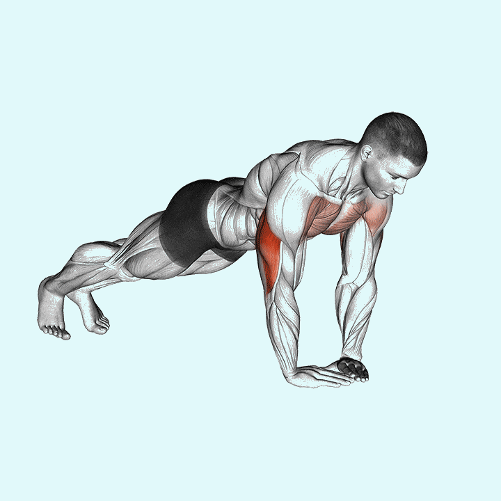 biceps exercises without weights