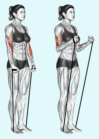 Best Biceps Exercises Without Dumbbells