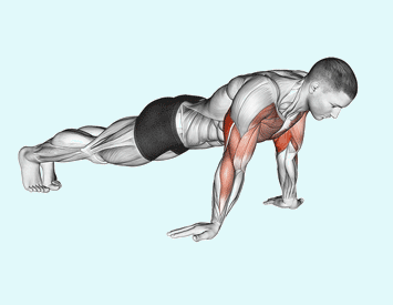 biceps exercises without weights